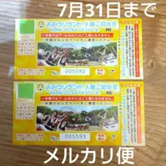 よみうりランド 入園 ご招待券 のりもの券付きのサムネイル