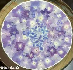 ✿押し花素材✿パープル系紫陽花アソート