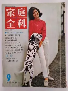 Item thumbnail for item 548709fb-4d05-4b55-9578-bc4c6e6570f4