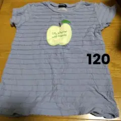 クレードスコープ　青りんご　Ｔシャツ　120