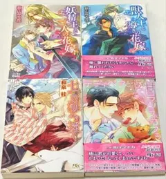 バラ売り⭕️セシル文庫 小説 4冊セット BL ボーイズラブ - メルカリ