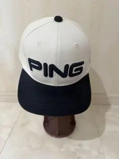 Item thumbnail for item dc555e87-667c-488b-a1d1-25525f6d735d