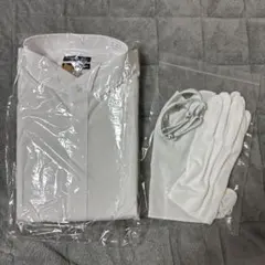 Item thumbnail for item 7d51e9e2-cacd-4bca-b249-587b81e22d3c