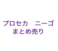 プロセカ　ニーゴ　まとめ売り