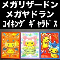 ポケカ メガリザードンピカチュウ メガヤドラン コイキング ギャラドスごっこのサムネイル