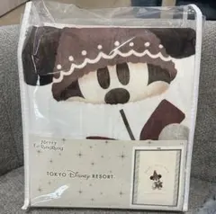 ☆新品未使用☆東京ディズニーリゾート リルリンリン毛布 約140x190cm