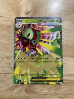 メガメガニウムex ノーマル