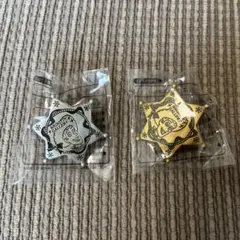 ディズニーランド　シューティングギャラリー　景品　ピンバッジ　ウッディ