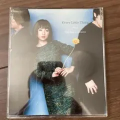 Every Little Thing/Pray