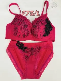 ワコール　サルート　F75 Ｌ　プレステージ　14G ブラショーツ　セットアップ ワコール サルート ブラジャー＆ショーツ セット F75&L BTJ774 - メルカリ