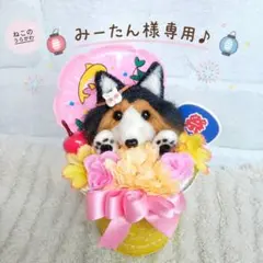 2026年最新】シェルティ 置物の人気アイテム - メルカリ