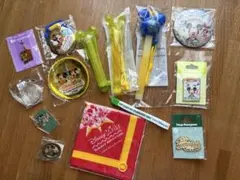 東京ディズニーリゾート❗️非売品などイベントグッズ