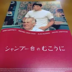 シャンプー台のむこうに パンフレット