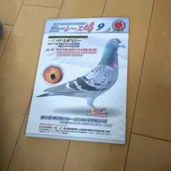 Item thumbnail for item b959cef5-661a-4df8-9deb-f9beaee5eba2