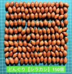 Item thumbnail for item 752d47fc-cef1-48d3-93fe-866acaf44b06