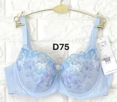 トリンプ　夏ブラ　COOL627　ブラジャー　ブルー　D75のサムネイル