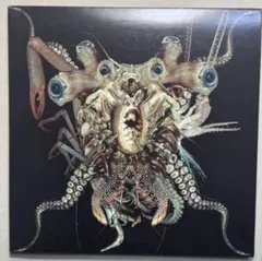 【紙ジャケ】DJ Skull Vomit Ritual Glow 2CD