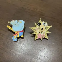 ディズニー 20周年 星型ピンバッジ ミニー　ジーニー　2個セット
