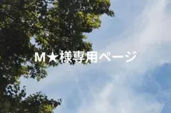 M★様専用ページ