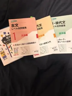 古文・現代文レベル別問題集と小論文対策本セット