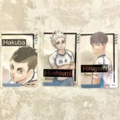 ハイキュー ファンパーク 箔押しクリアカード 鴎台 星海光来 昼神幸郎 白馬芽生