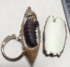 2026年最新】みのむしの人気アイテム - メルカリ