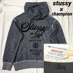 2025年最新】stussy チャンピオンの人気アイテム - メルカリ