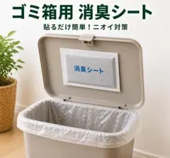 [3개월간 사용] 쓰레기통용 데오드란트 시트 6장, 붙이기 쉬워 쓰레기 냄새 방지, 무취 타입