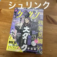 ゲッサン 2019年 4月号 大ダーク 新連載 ドロヘドロ 作者 林田球 ゲッサン 2019年 4月号 大ダーク 新連載 ドロヘドロ 作者 林田球
