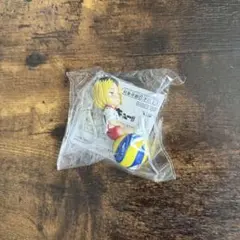 ハイキュー!! ぷちっとのりマス 孤爪研磨