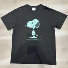 OKINAWA POP.jp スヌーピー 沖縄のサムネイル