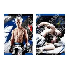 ヒロヤ RIZIN クリアファイルのサムネイル