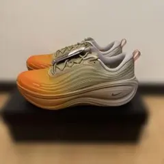 NIKE VOMERO PLUS　ボメロ プラス　27.5cm