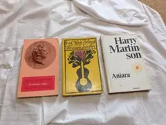 Item thumbnail for item b3c12f64-e7fd-4be3-964c-ccdad455351e