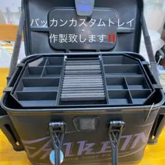 オーダー停止中❗️ バッカンカスタムトレイ作製致します❗️