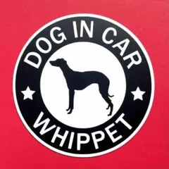 Item thumbnail for item c4a4b8a4-f54b-4bd5-9bdc-956bbfcdaf1b