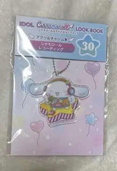 【新品・未使用品】Happyくじ シナモロールのアイドルルックブック