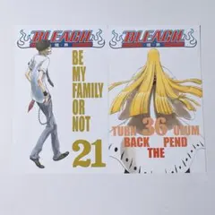 BLEACH 平子真子 mails ポストカード　中国　限定