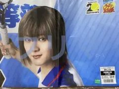 ミュージカル テニスの王子様 テニミュ 応援垂れ幕 不二周助 持田悠生