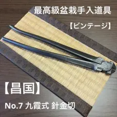 2026年最新】昌国 盆栽の人気アイテム - メルカリ