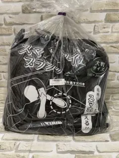 Item thumbnail for item 408a136f-cceb-4f1f-bf9f-3f6086c800bc