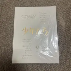 少年たち パンフレット