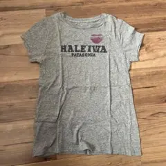 HALE'IWA PATAGONIA グレー Tシャツ M