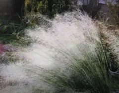 ♡♡♡様 リクエスト 3点 まとめ商品