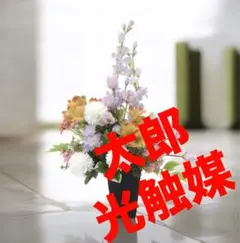 光触媒　人工観葉植物　ウォールグリーン　フェイクグリーン　ミヤビ