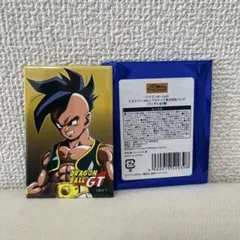 ドラゴンボールGT ヒストリー 長方形缶バッジ ウーブ