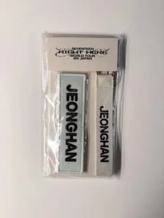 Item thumbnail for item 1a3095d2-fa94-433e-b3bb-01312e95653e