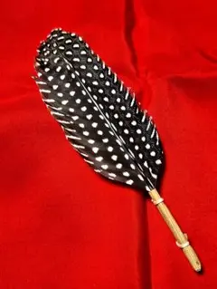 2026年最新】羽箒の人気アイテム - メルカリ