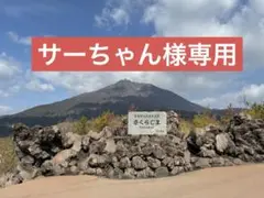 アクタス　ACTUS 飛騨産業　ダイニング　チェア　椅子　④のサムネイル
