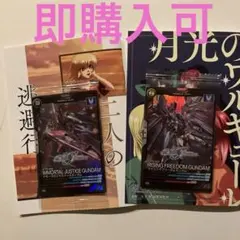 Item thumbnail for item 821a5384-fabe-485d-9f77-b45cf6c7e70d